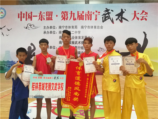 2017年8月中国-东盟南宁市第九届武术大会，获金牌三枚，银牌三枚